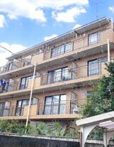 ハウスコットンテール