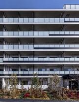 ディームス根岸