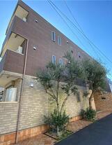 パフィオペディルム